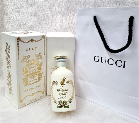 gucci in jaipur